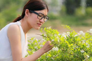 魔法少女になりたい动漫在线观看界面
